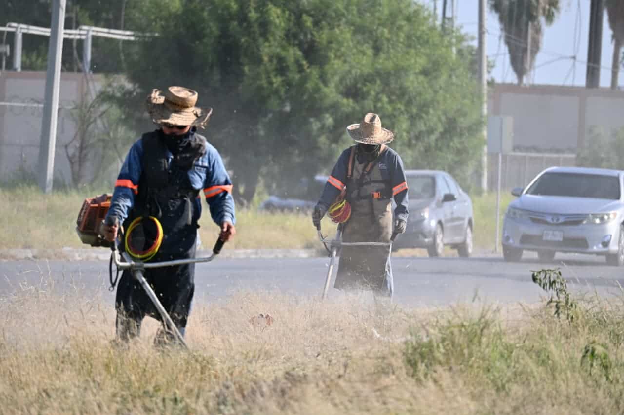 Sari Pérez Cantú arranca jornada de limpieza en Frontera