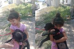 Vecina buscó adoptar un perro de Frichem Vecina buscó adoptar un perro de Frichem