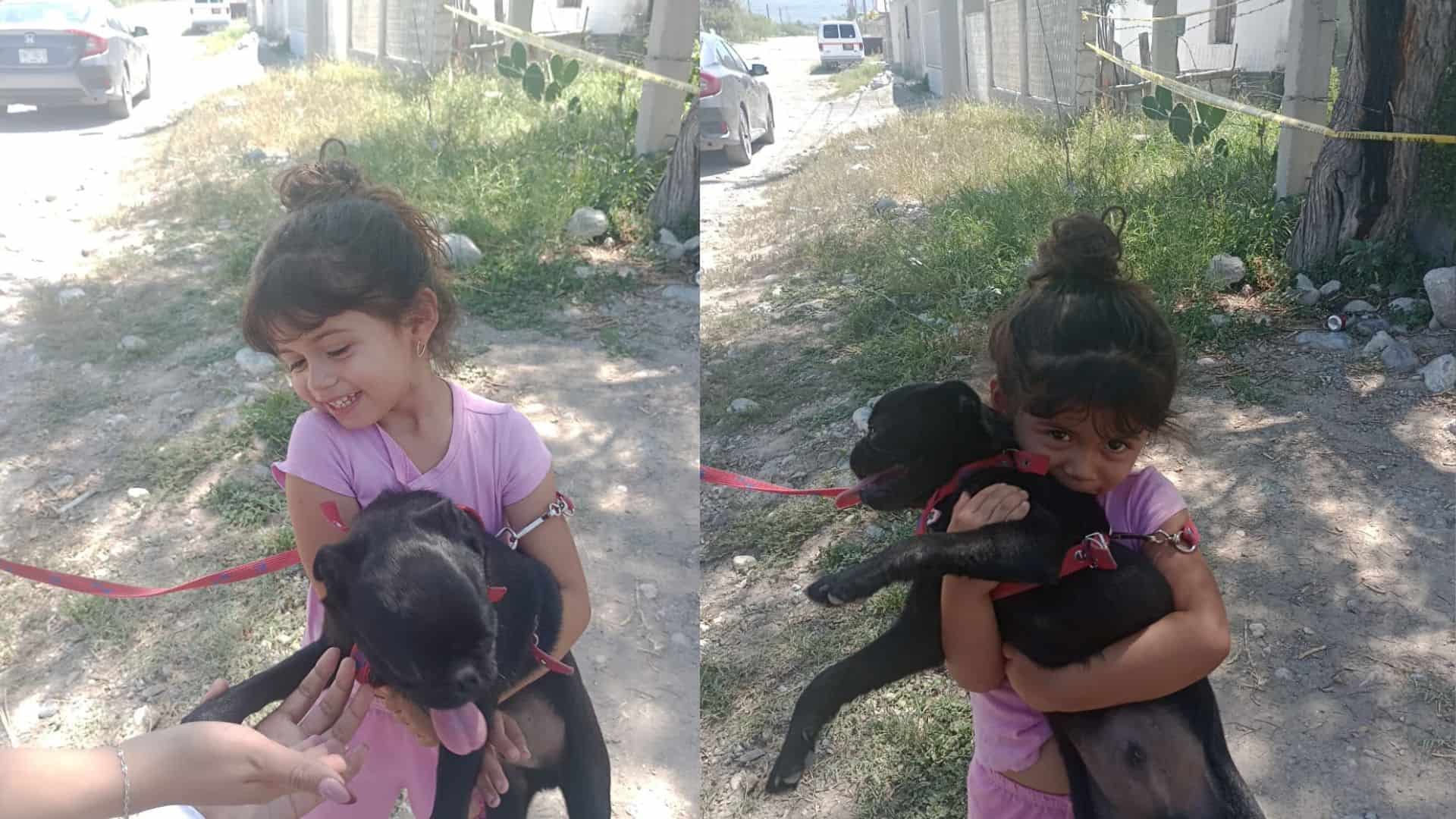 Vecina buscó adoptar un perro de Frichem