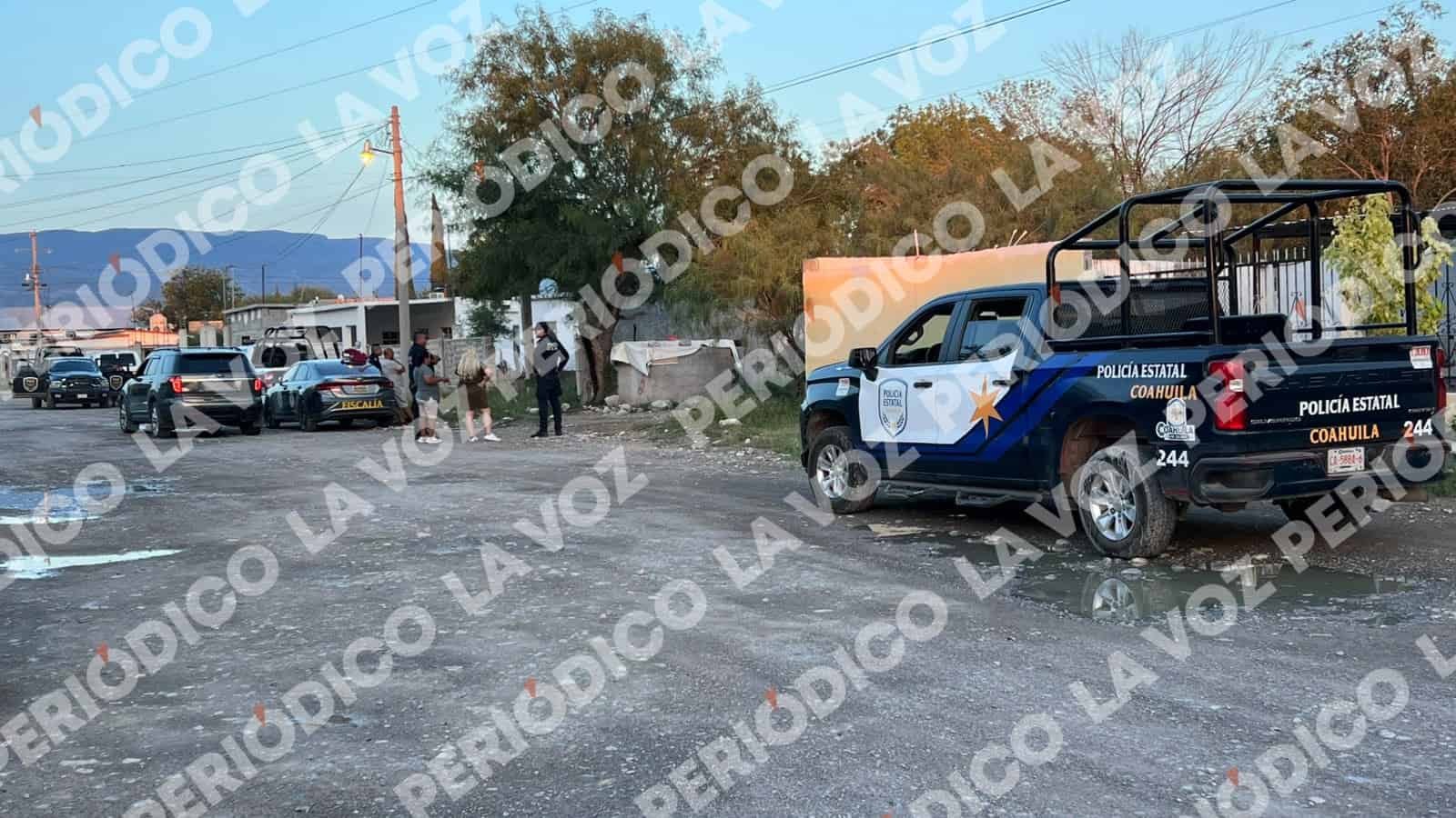 Rescatan a 60 perros de Fundaci&oacute;n Frichem