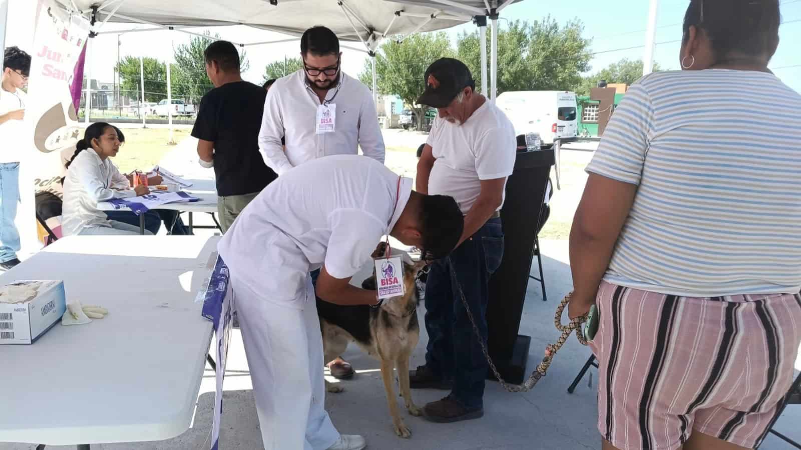 Nava pone a las mascotas en el centro con brigada de asistencia animal