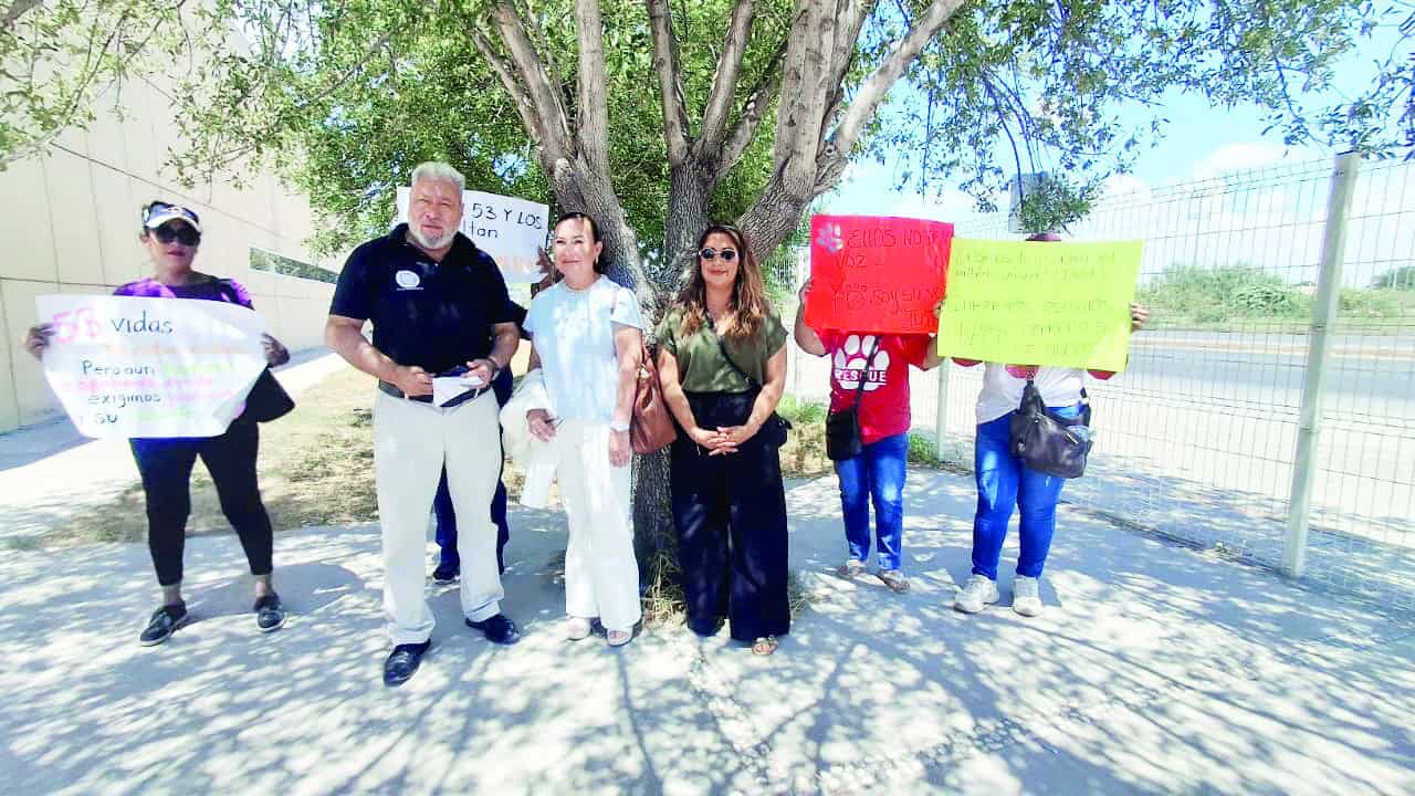 Prisi&oacute;n preventiva para Juan N por crueldad a perros en Casta&ntilde;os