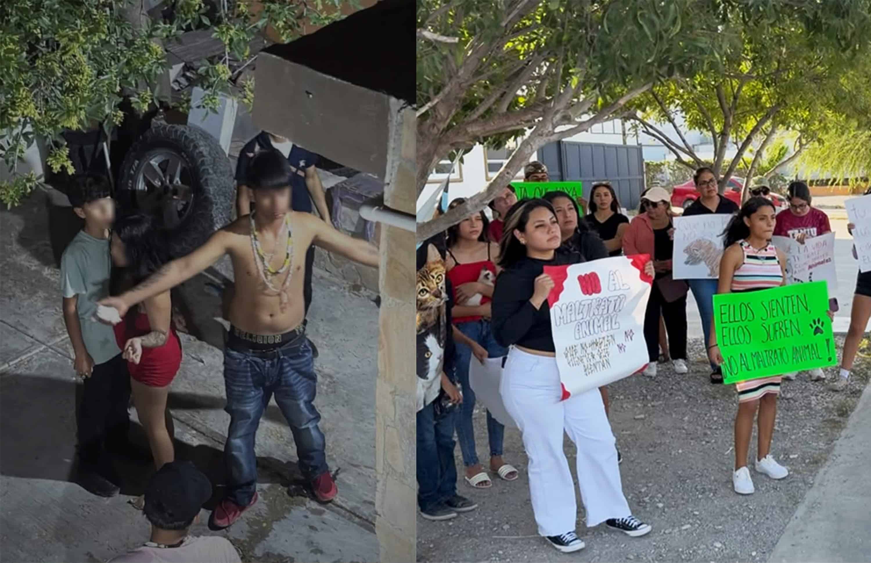 Genera inconformidad arresto domiciliario para menor acusado de matar gatos en Acuña Genera inconformidad arresto domiciliario para menor acusado de matar gatos en Acuña