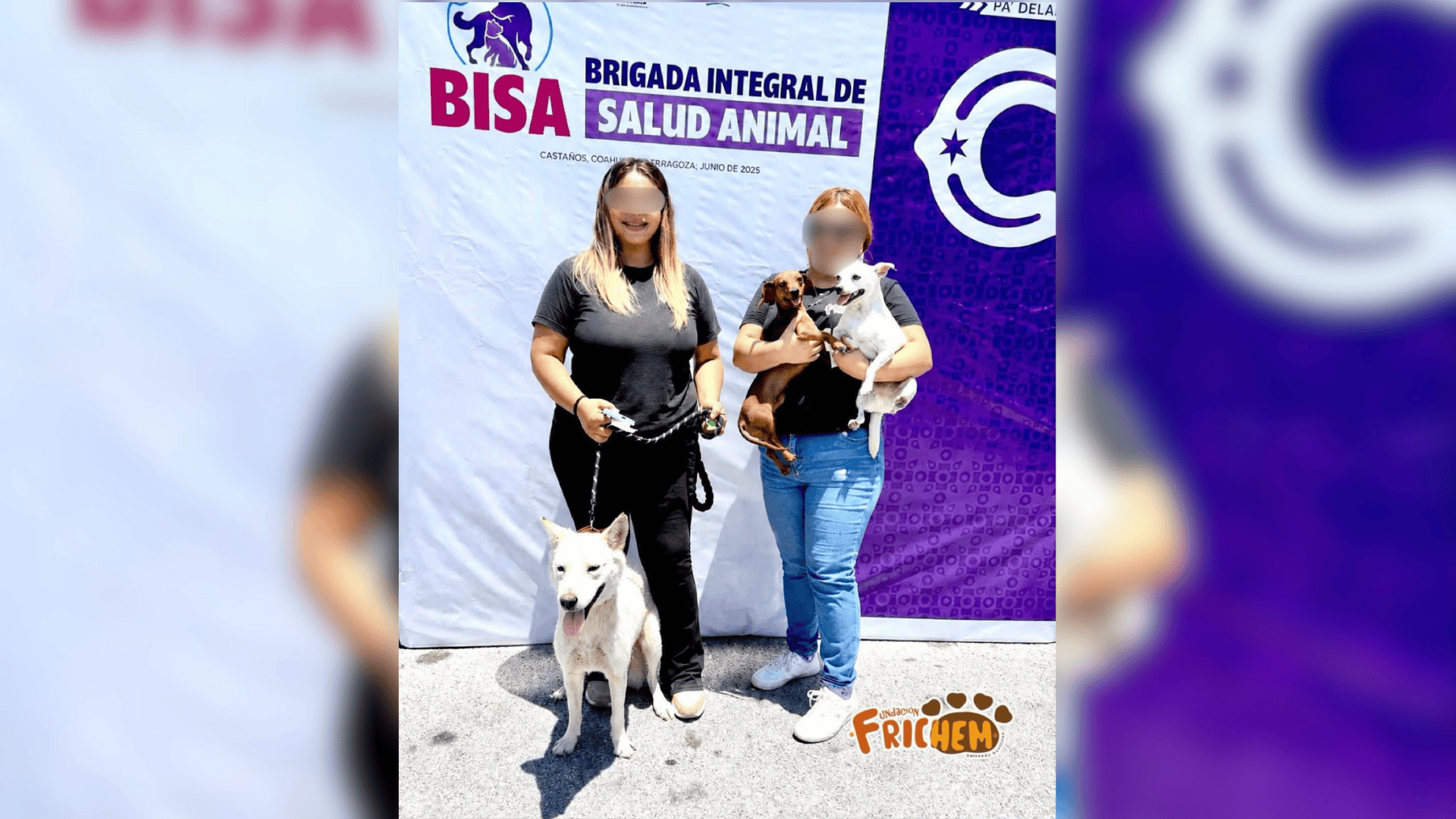 Fundación Frichem: Lizbeth N vinculada a proceso por maltrato animal Fundación Frichem: Lizbeth N vinculada a proceso por maltrato animal