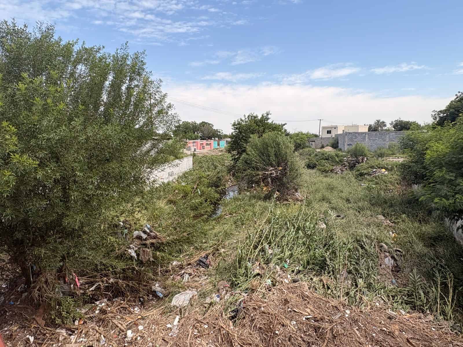 Ecología refuerza vigilancia en Arroyo Frontera por basura acumulada
