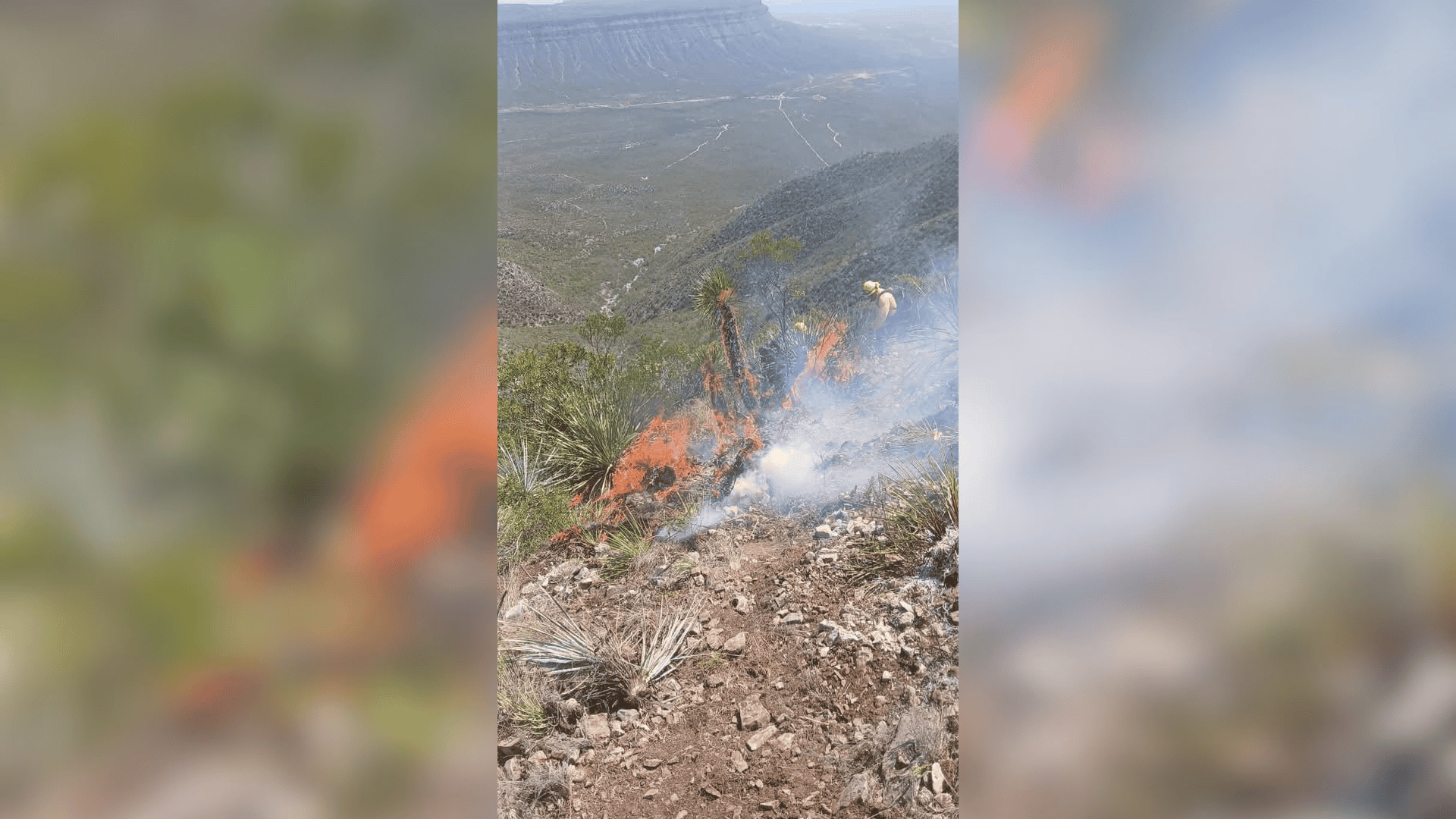 Controlan incendio forestal en Sierra P&aacute;jaros Azules: Coahuila