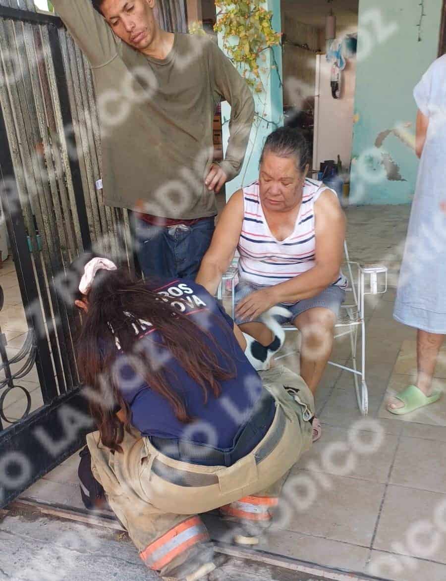 Bomberos salvan a dos perros de incendio