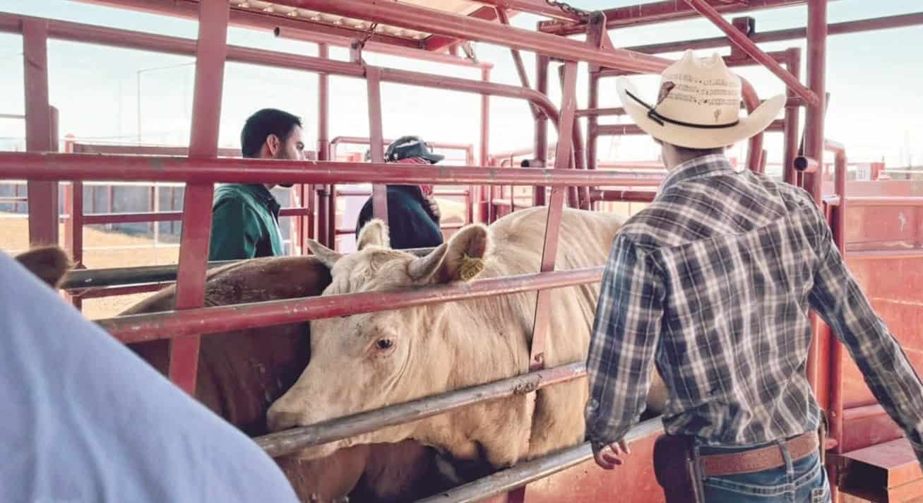 Coahuila espera reapertura de frontera tras éxito en Sonora