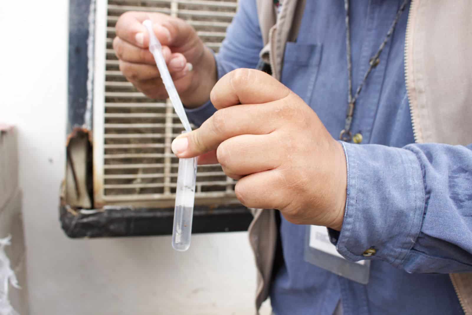 Vigilan casos sospechosos de dengue y rickettsiosis en la Región Norte Vigilan casos sospechosos de dengue y rickettsiosis en la Región Norte