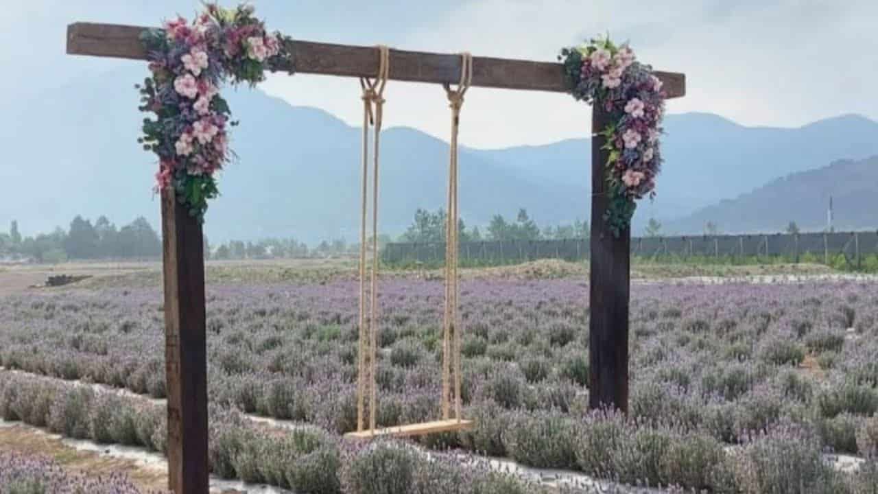 Familia Guadiana cierra campo de lavanda en Rancho Manzanares de Arteaga
