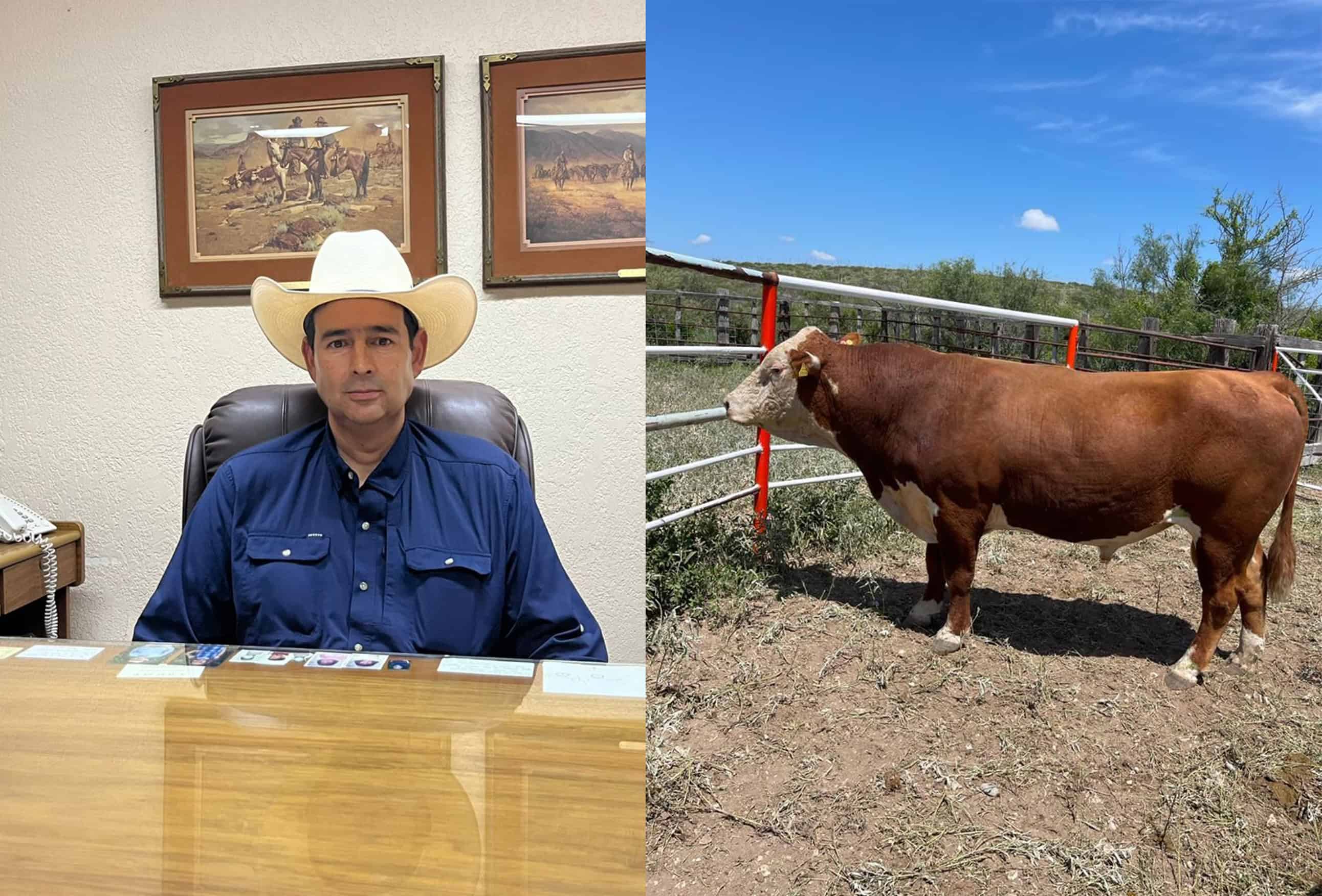 Ganaderos de Coahuila esperan reapertura de la frontera para exportar ganado