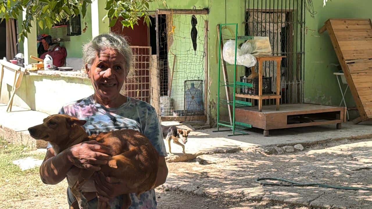 Emily Arrieta cuida a 40 perros abandonados en La Rivera