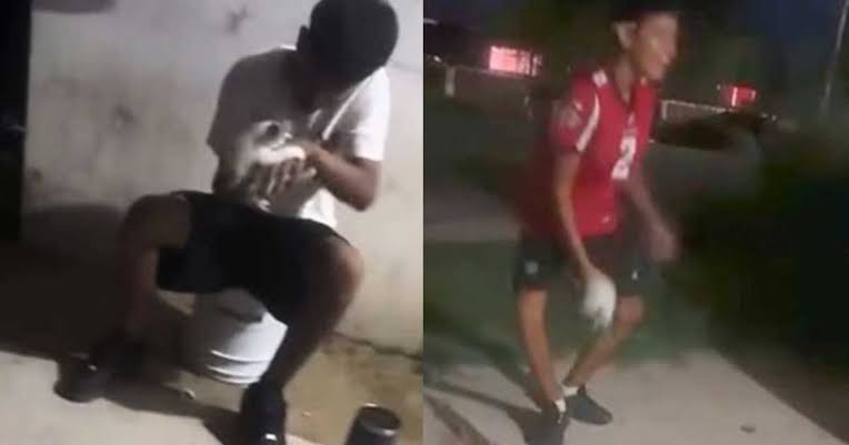 Frontera: Carlos Siller impulsa reglamento para proteger a los animales