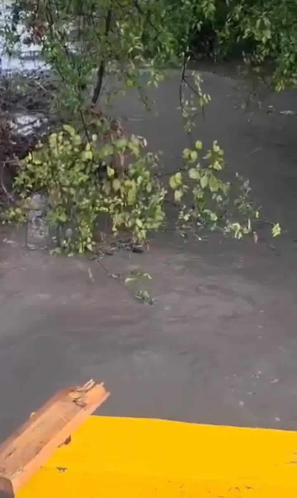 Caen 4 pulgadas de lluvia en M&uacute;zquiz