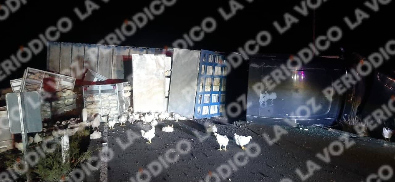 Vuelca tráiler con pollos y bloquea la carretera Vuelca tráiler con pollos y bloquea la carretera