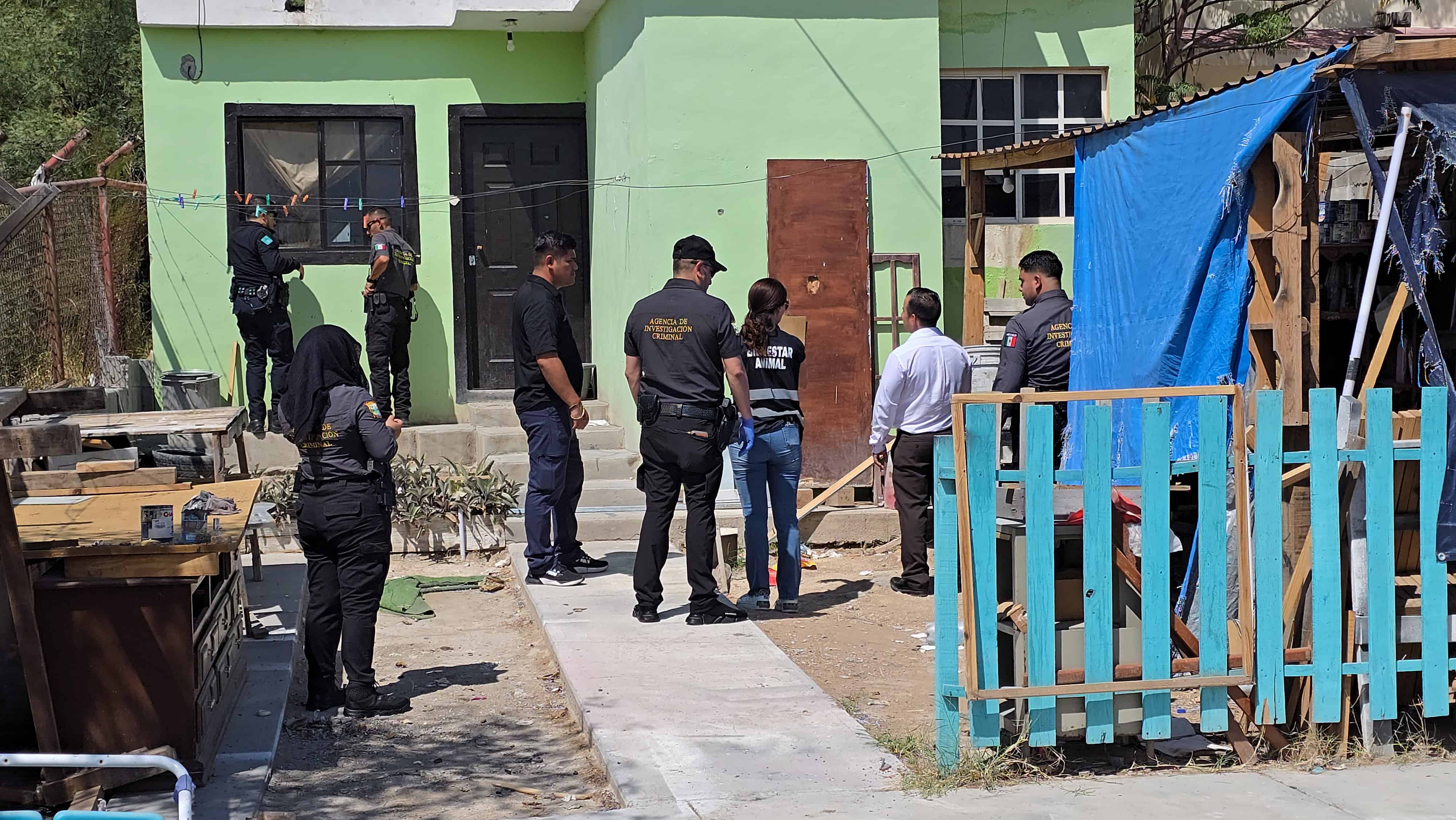 Rescatan tres perros en Coahuila: Fiscalía investiga abandono