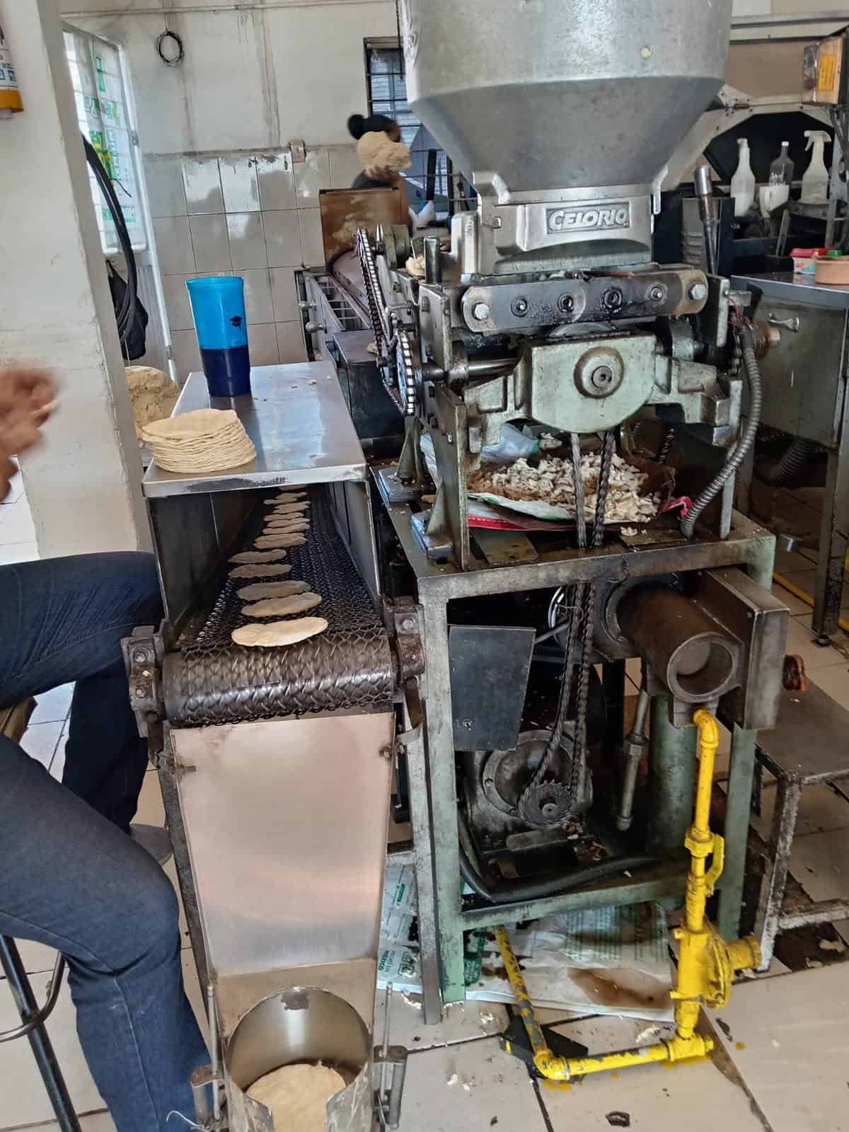 Aumento del maíz no impacta el precio de la tortilla en Monclova