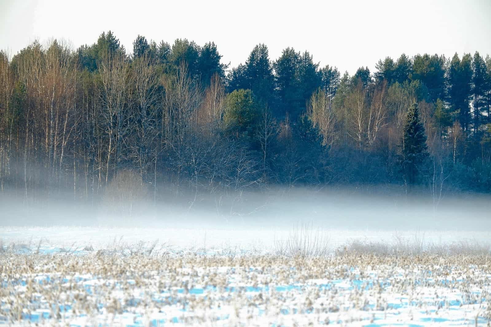 Coahuila se prepara para un invierno frío