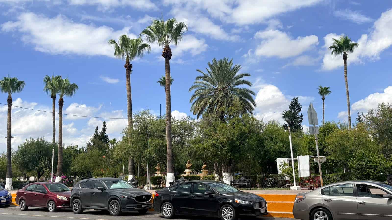 Frontera se prepara para recibir 280 árboles en campaña de reforestación