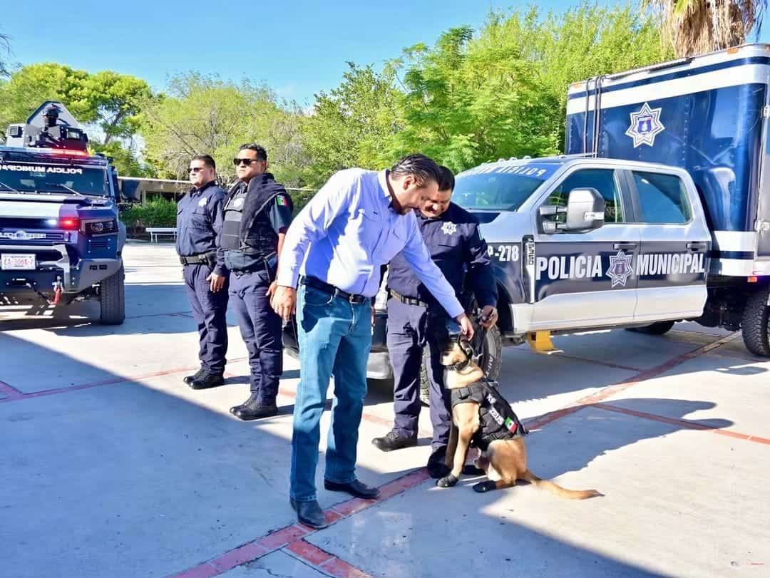Monclova refuerza su seguridad con más de mil 500 cámaras y nuevas unidades Monclova refuerza su seguridad con más de mil 500 cámaras y nuevas unidades