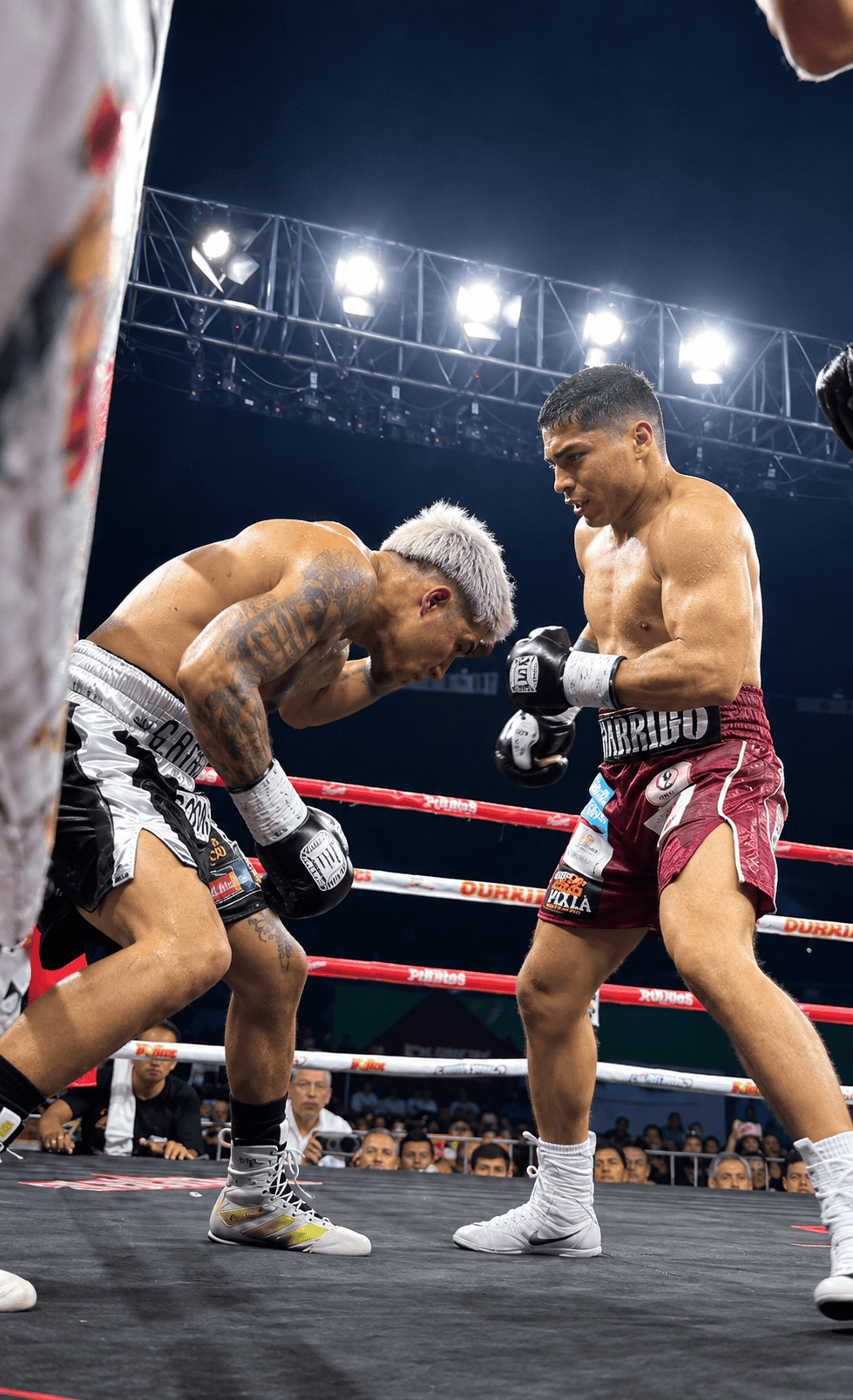 Daniel Narv&aacute;ez cae ante Daniel Garrido en M&eacute;rida: nocaut t&eacute;cnico