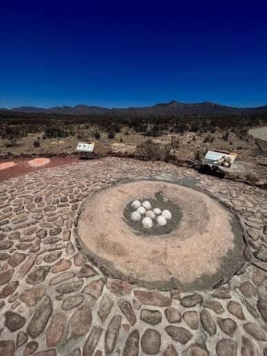 Coahuila se posiciona séptimo en paleontología mundial Coahuila se posiciona séptimo en paleontología mundial