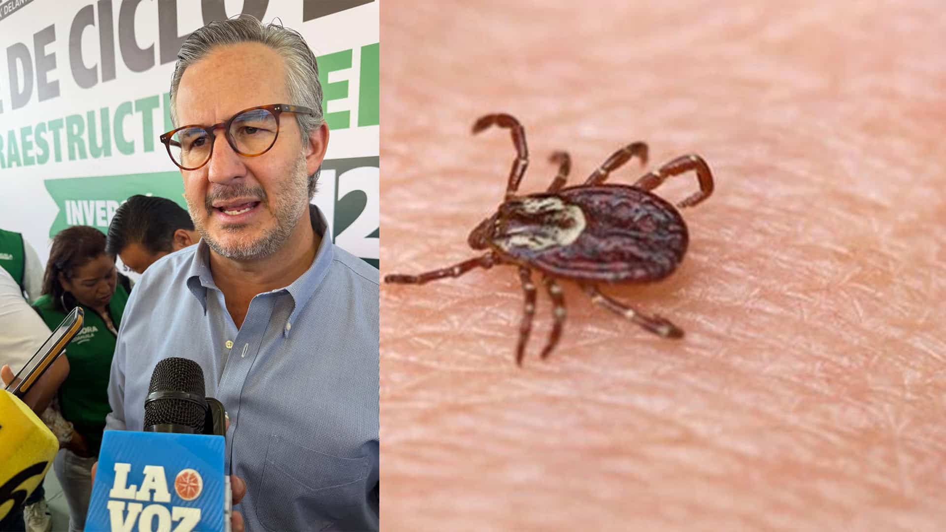 Emanuel Garza Fishburn informa sobre garrapatas en escuelas de Coahuila