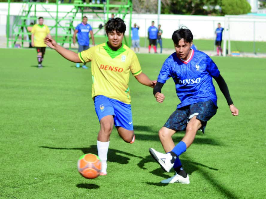 Peluches y Porcinos avanzan a semifinales del Torneo de Denso Air Systems
