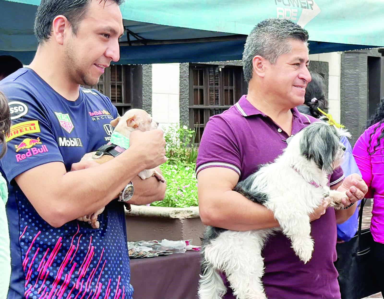 San Francisco de As&iacute;s celebra el D&iacute;a Mundial de los Animales con bendici&oacute;n de mascotas
