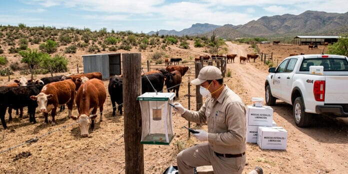 Montemayor destaca avances en control de enfermedades ganaderas en Coahuila