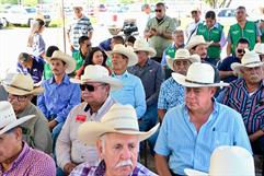Alcaldesa Sari Pérez Cantú impulsa ganadería con sementales en Castaños Alcaldesa Sari Pérez Cantú impulsa ganadería con sementales en Castaños