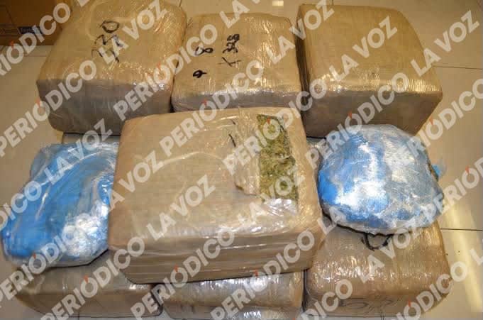 Aseguran 44 kilos de marihuana en Saltillo
