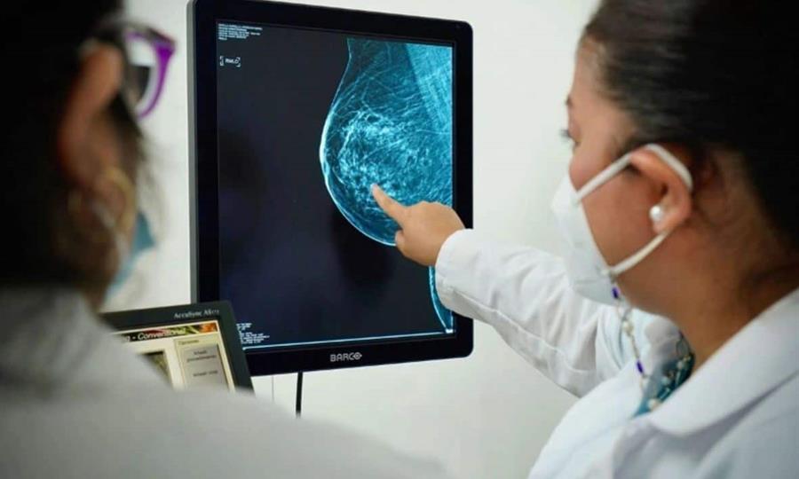 Coahuila registró 429 casos de cáncer de mama durante 2025, informó el secretario de Salud, Eliud Aguirre.
