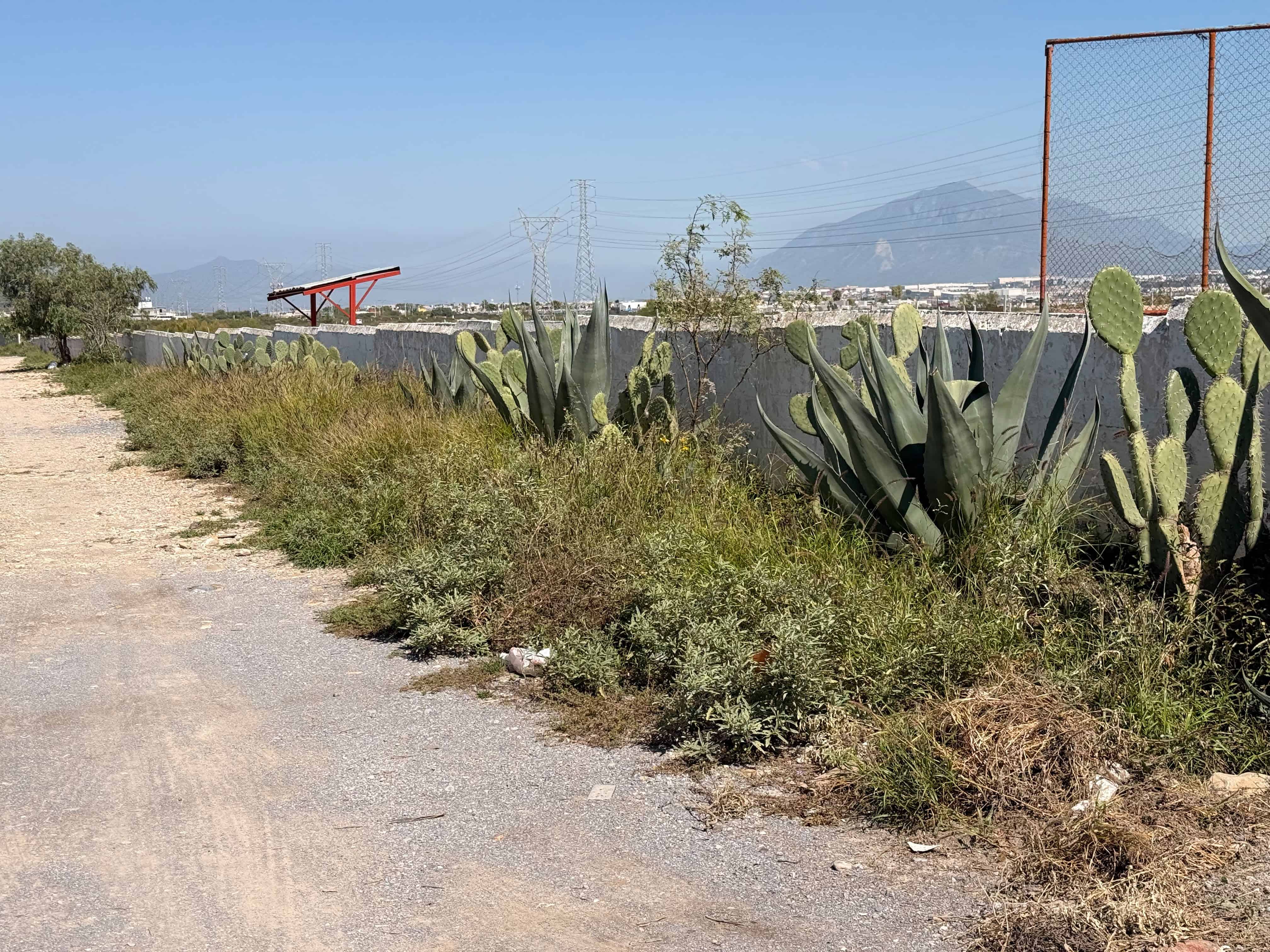 Pante&oacute;n San Ignacio en Ramos Arizpe presenta descuido a d&iacute;as del D&iacute;a de Muertos