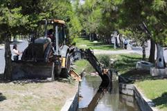 Saltillo: Retiro de árboles y reforestación en la temporada de invierno Saltillo: Retiro de árboles y reforestación en la temporada de invierno